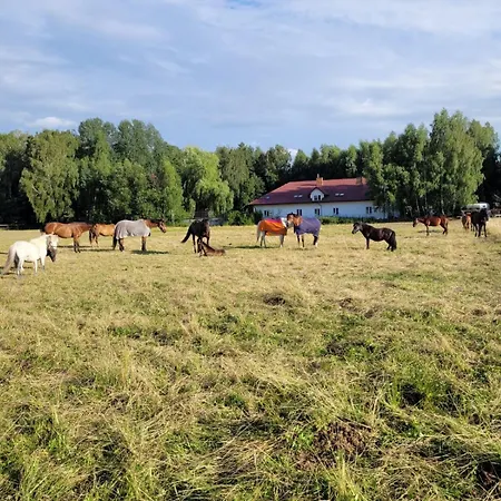 Zakatek * Topolnica